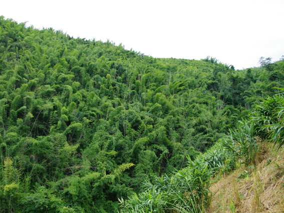 student111_bioenv.jpg