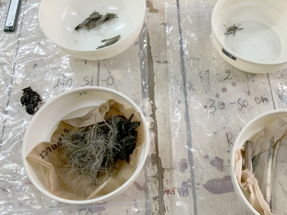 student88_bioenv.jpg