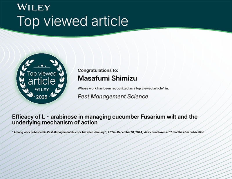 certificate.jpg