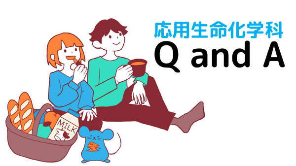 Ｑ＆Ａ目次バナー.png
