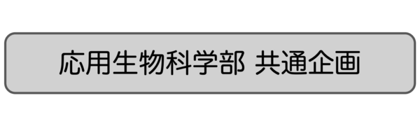 共通企画バナー.png