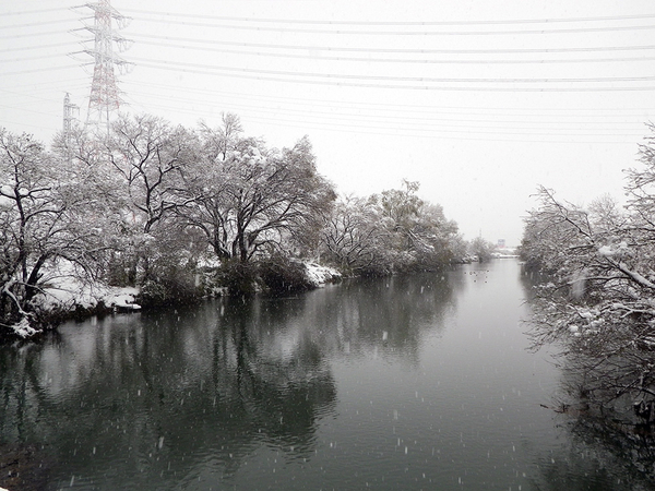 IMGP11571.jpg