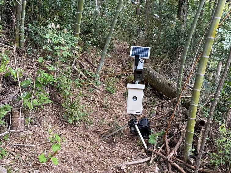 獣害対策、クマよけスプレー、クマ対策、AI画像解析、IoT、自動撮影カメラ、クラウド、野生動物管理、AI、スマート鳥獣対策、獣害対策、熊監視、岐阜大学、ハイク