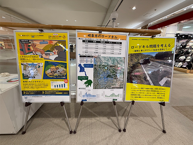 展示 ロードキル、シカ、衝突、野生動物、岐阜大学、事故