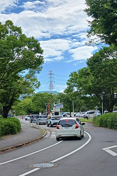 20260807_090453s.jpg