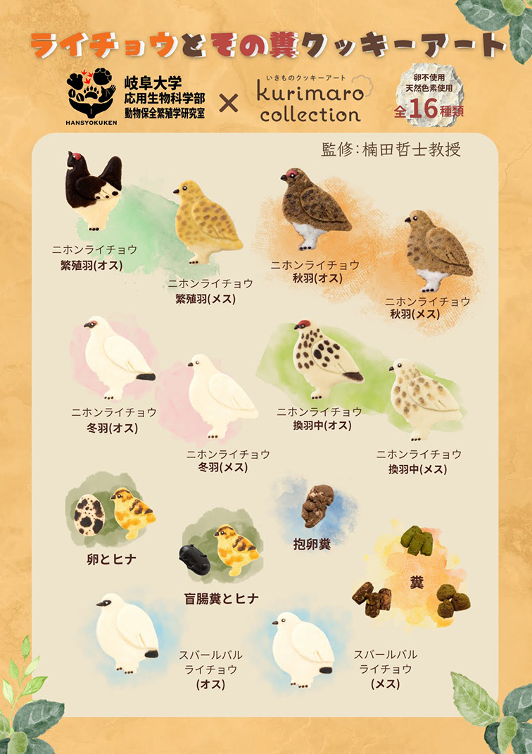 販売、岐阜大学、動物保全繁殖学研究室、ライチョウ、糞、クッキー