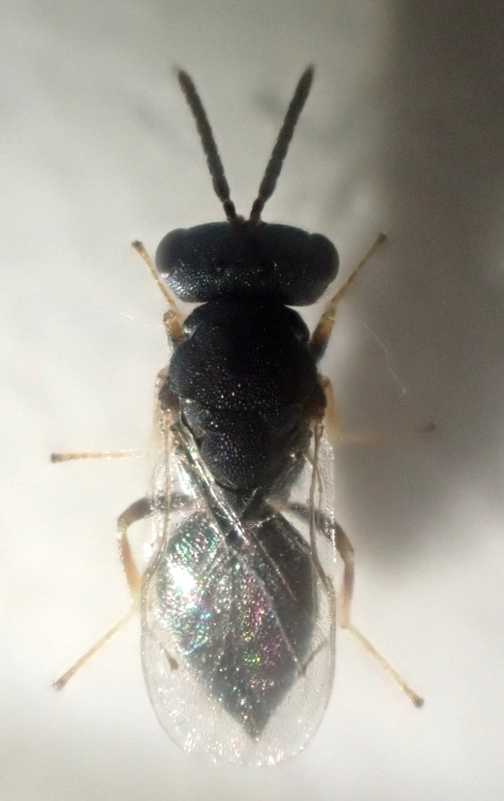 20260909_okamoto01.jpg