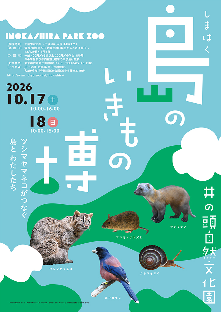 ツシマヤマネコ、井の頭自然文化園、楠田哲士、岐阜大学、生物圏環境学科