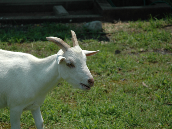 DSC_3374s.JPG