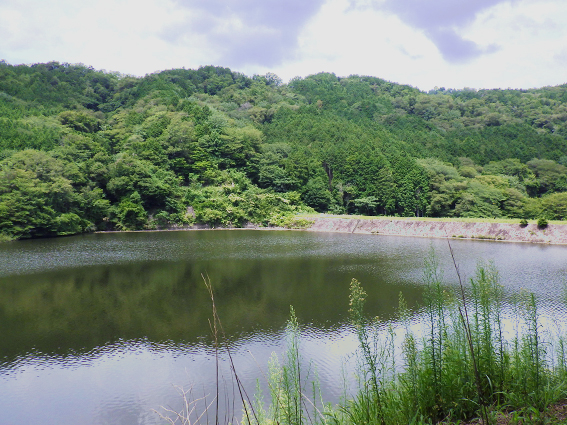 ため池 岐阜大学、農業生態系、地域環境工学、農業土木、ため池、堤体、圃場整備、砂防