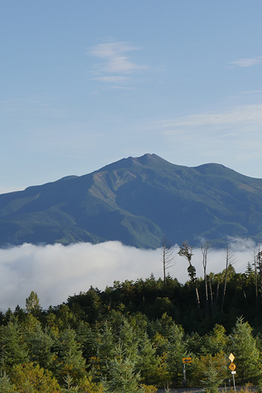 キャンパスライフ｜岐阜大学｜応用生物科学部｜登山｜ライチョウ