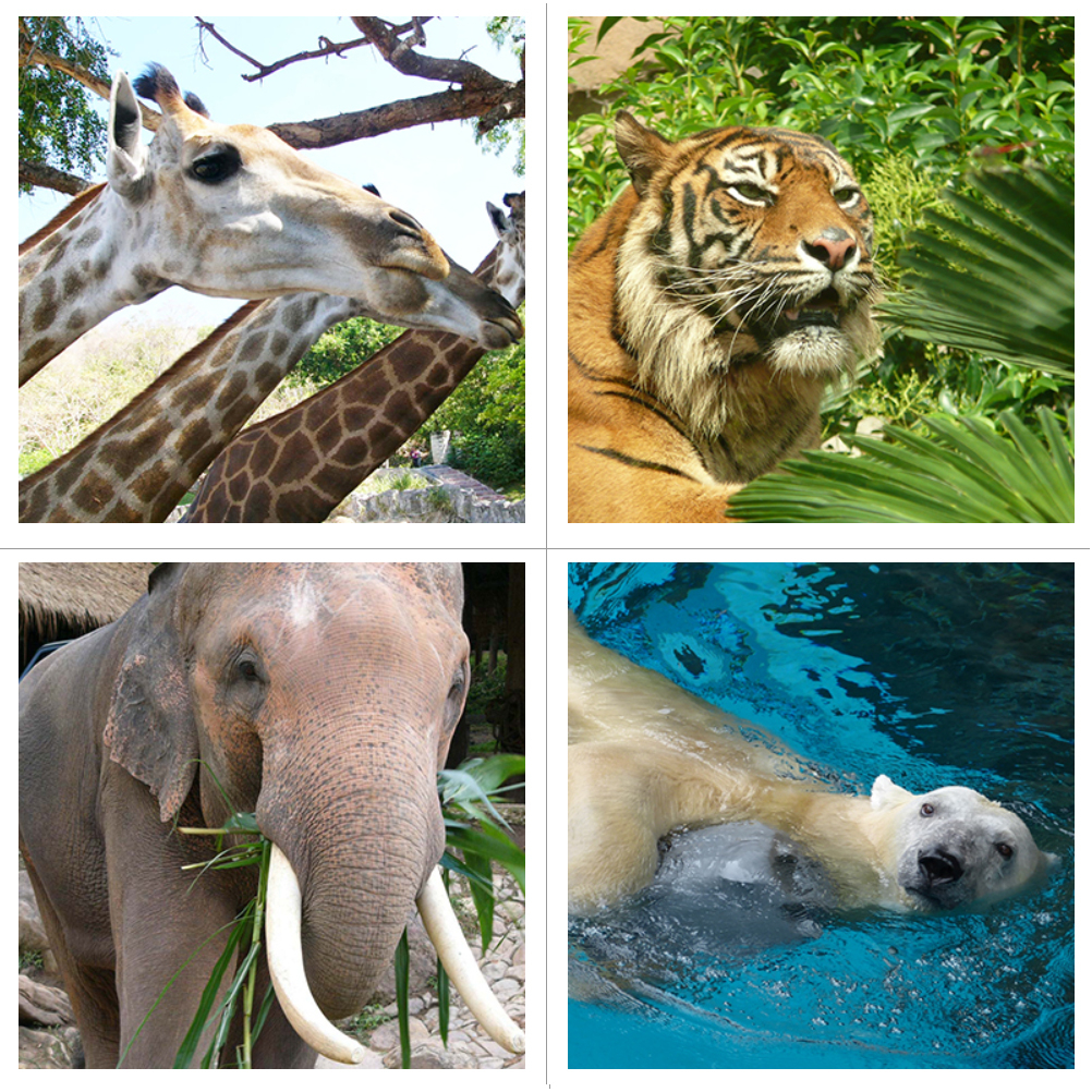 動物園動物管理学(授業科目・講義) 動物園動物管理学、生態学