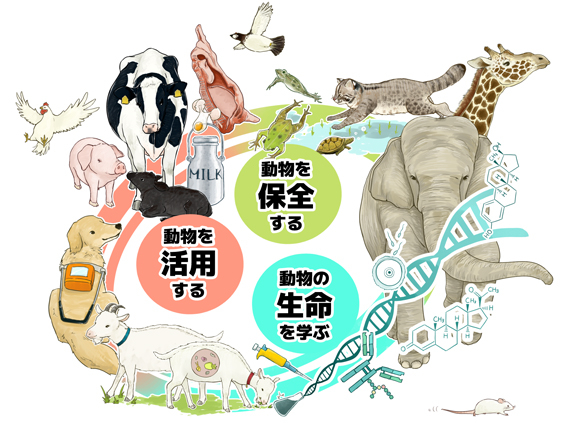 生物圏環境学科、生物環境、学科、自然環境、地球や地域における水・物質循環ならびに生物から構成される生物環境及び生態系の科学的理解、新学科