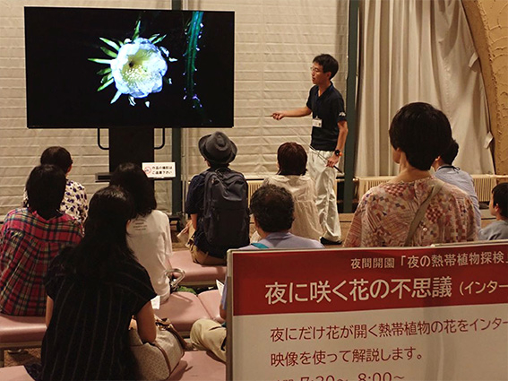 植物園の夜間イベント 岐阜大学、学芸員、博物館、植物園、生物圏環境学科