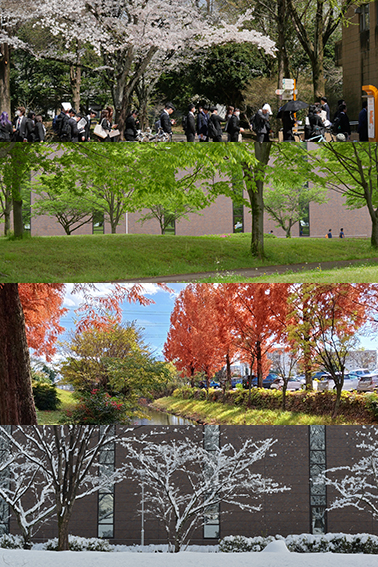 キャンパスライフ｜学生生活｜岐阜大学