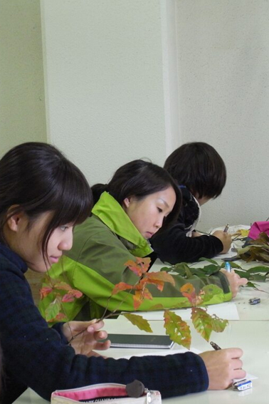 特長｜生物圏環境学科（新学科）