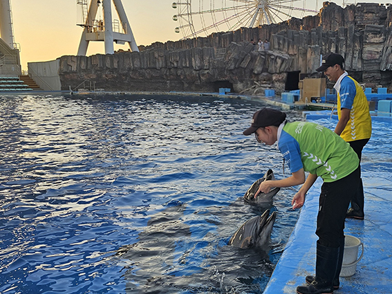 毎日の体調管理のためのトレーニング 岐阜大学、生物圏環境学科、名古屋港水族館