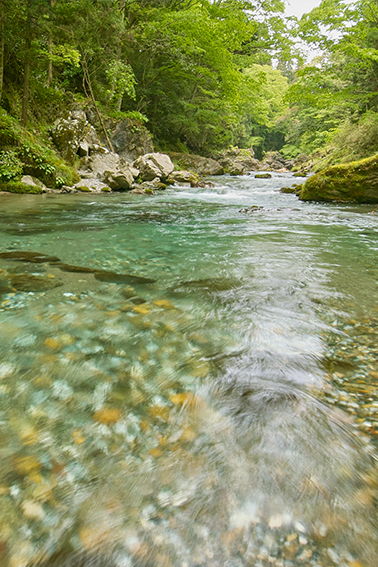 キャンパスライフ｜岐阜大学 清流 神崎川