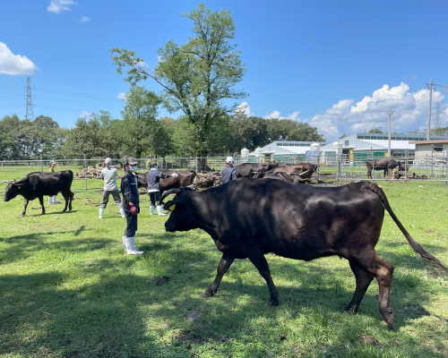 クラウドファンディング、岐阜大学、応用生物科学部、ふるさと納税