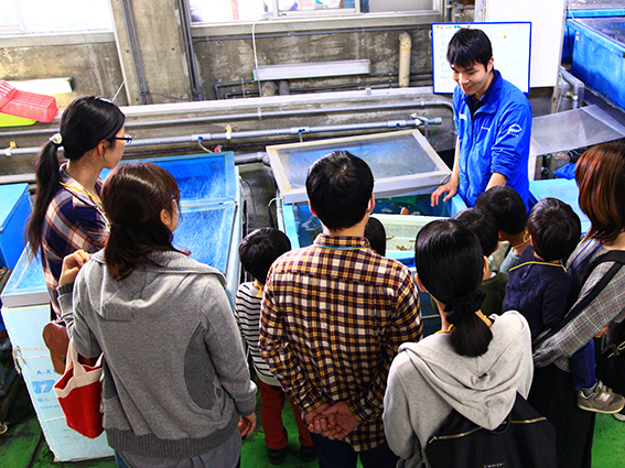 碧南海浜水族館、岐阜大学、応用生物科学部、市役所、職員