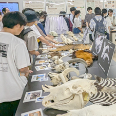 岐阜大学 応用生物科学部 オープンキャンパス 動物科学プログラム