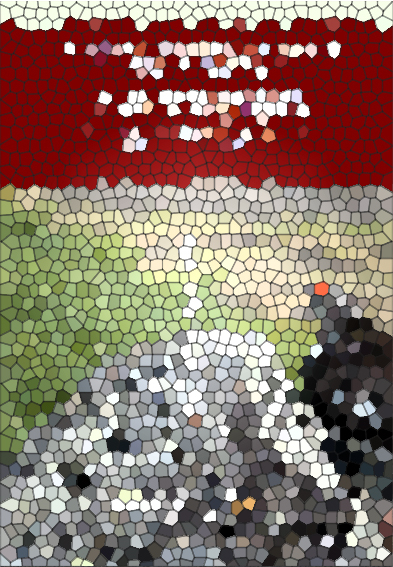 pamphlet_2027_mosaic.jpg