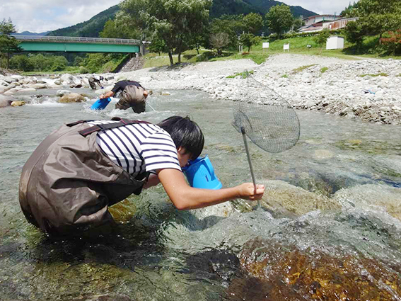 生物圏環境学科、生物環境、学科、自然環境、地球や地域における水・物質循環ならびに生物から構成される生物環境及び生態系の科学的理解、新学科