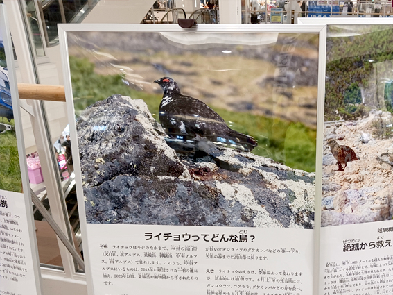 展示、博物館実習｜生物圏環境学科