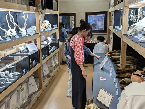 アーカイブ・コア、博物館実習｜生物圏環境学科