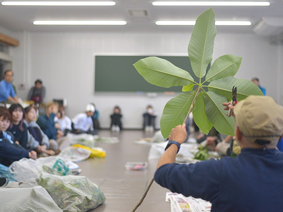 標本作製、生物識別野外調査実習－植物－｜生物圏環境学科
