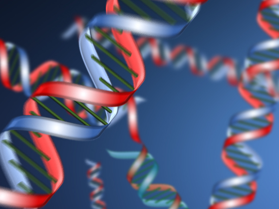 生物圏環境学科、生物環境、学科、自然環境、地球や地域における水・物質循環ならびに生物から構成される生物環境及び生態系の科学的理解、新学科