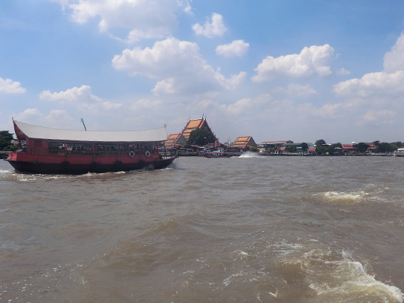 タイ王国、マングローブ、海外調査