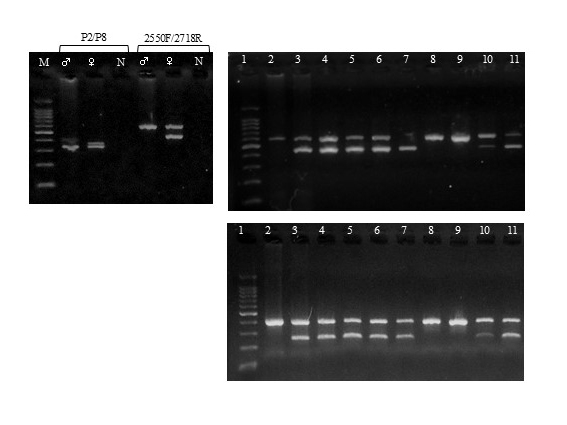 生物計測学実験法および実験・実習｜生物圏環境学科