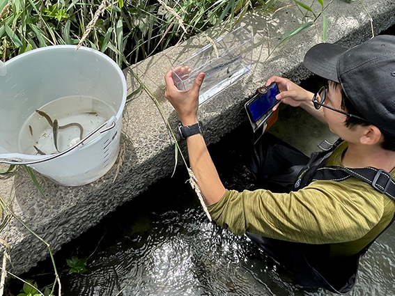 魚類相調査、生物識別野外調査実習－水棲生物－｜生物圏環境学科
