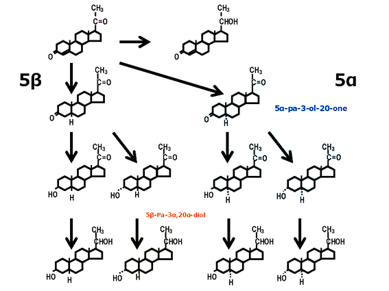 student192_bioenv.jpg