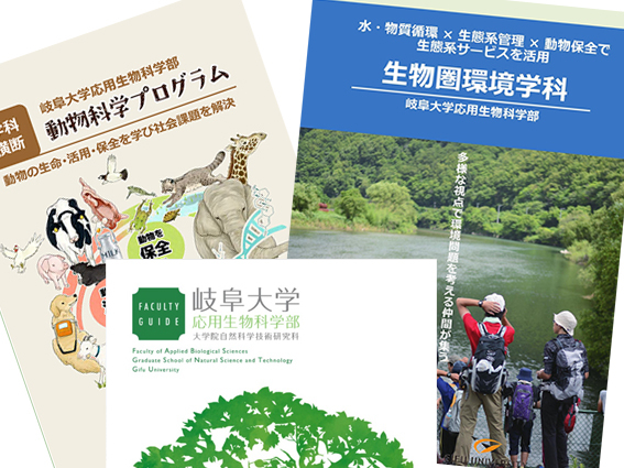 生物圏環境学科、生物環境、学科、自然環境、地球や地域における水・物質循環ならびに生物から構成される生物環境及び生態系の科学的理解、新学科