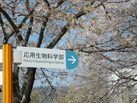生物圏環境学科、生物環境、学科、自然環境、地球や地域における水・物質循環ならびに生物から構成される生物環境及び生態系の科学的理解、新学科