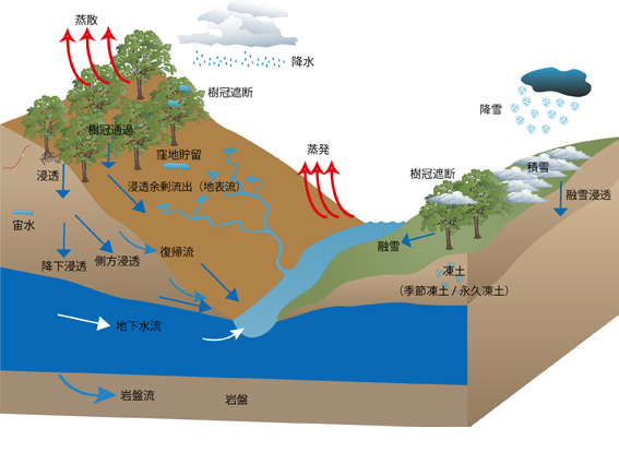 生物圏環境学科、生物環境、学科、自然環境、地球や地域における水・物質循環ならびに生物から構成される生物環境及び生態系の科学的理解、新学科