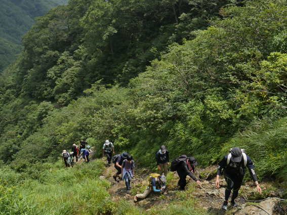 登山実習（夜叉ヶ池）、生物識別野外調査実習－植物－｜生物圏環境学科
