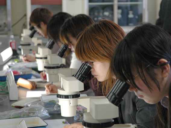 生物計測学実験法および実験・実習｜生物圏環境学科