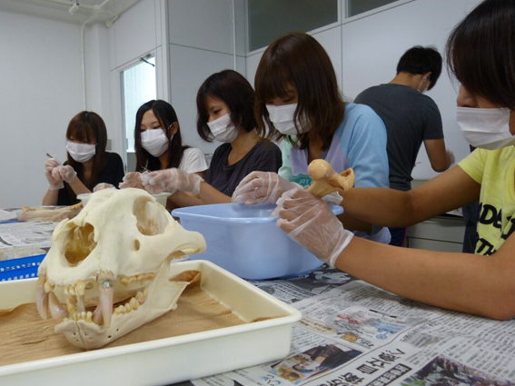 標本作製、生物識別野外調査実習－動物－｜生物圏環境学科