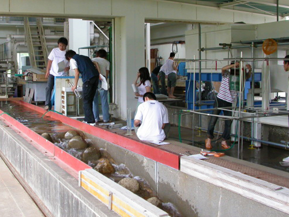 水理計測実験法および実験・実習｜生物圏環境学科