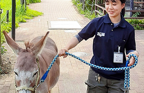 卒業生の声、飼育員、公務員、実績、就職、就職先