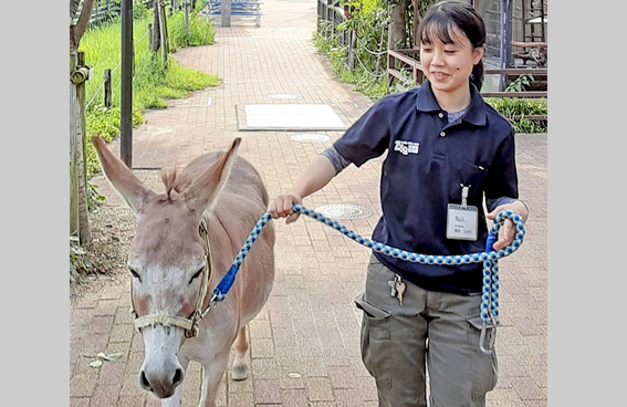 卒業生の声(就職・資格) 卒業生の声、飼育員、公務員、実績、就職、就職先
