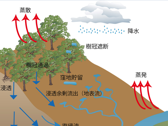 水文学（授業科目・講義）｜生物圏環境学科