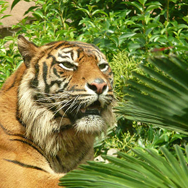 動物園動物管理学（授業科目・講義）｜生物圏環境学科