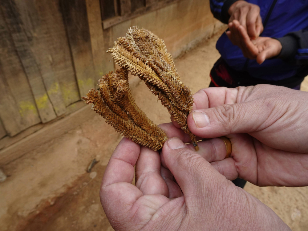 Adobe Express - file2.jpg