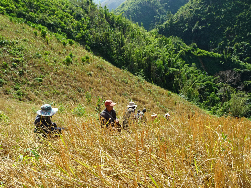 Adobe Express - file.jpg