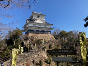 IMG_4284.jpeg