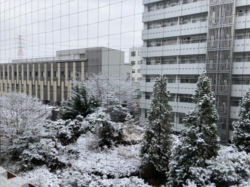IMG_4468.jpeg